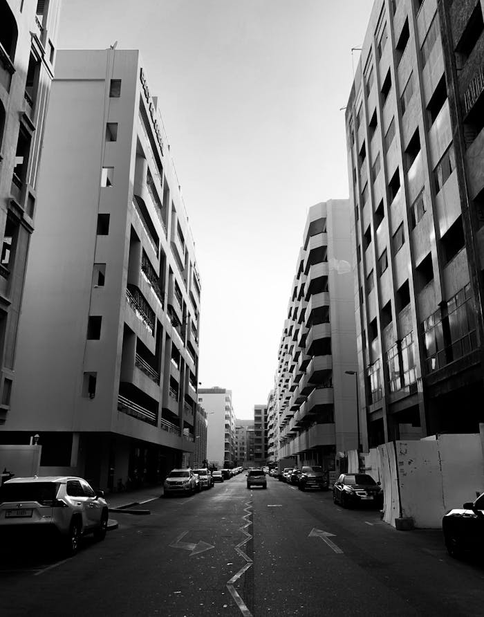 A striking black and white urban street scene with buildings and vehicles.
